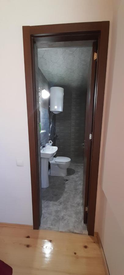 Guest House Lekhtagi 메스티아 외부 사진